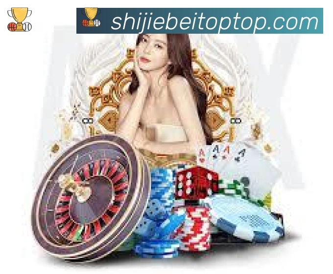 未来规划